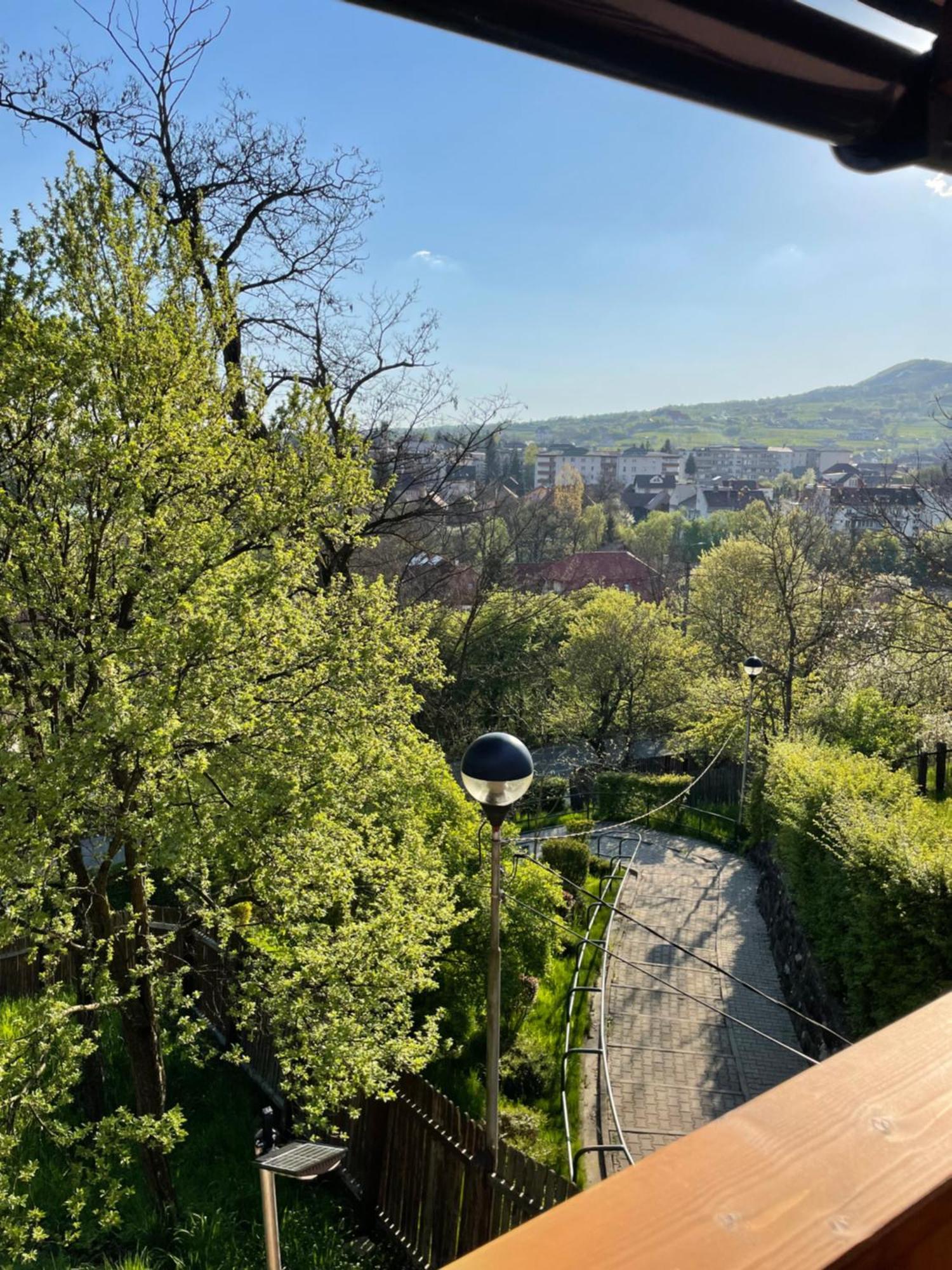 Casa Milla Hotell Sovata Exteriör bild